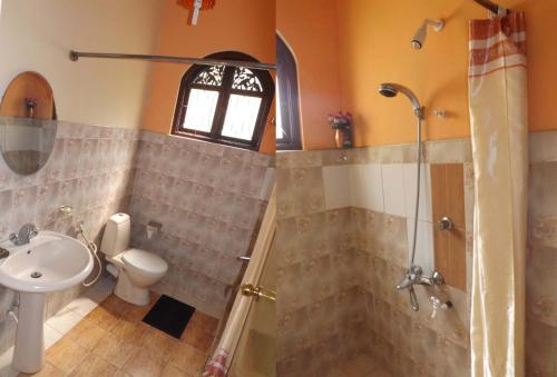 a bathroom with a shower and a toilet and a sink at Holiday Nest Bed & Breakfast in Wadduwa