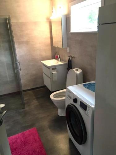 La salle de bains est pourvue de toilettes et d'un lave-linge. dans l'établissement Stunning Home In Rörbäck With 2 Bedrooms And Wifi, à Brunntjärnsåsen