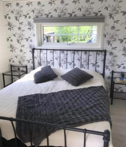 a bedroom with a bed with two pillows and a window at Amazing Home In Bergkvara With 2 Bedrooms And Jacuzzi in Bergkvara