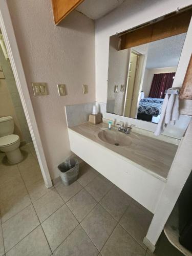 a bathroom with a sink and a mirror and a bed at Regency Inn in Jewett