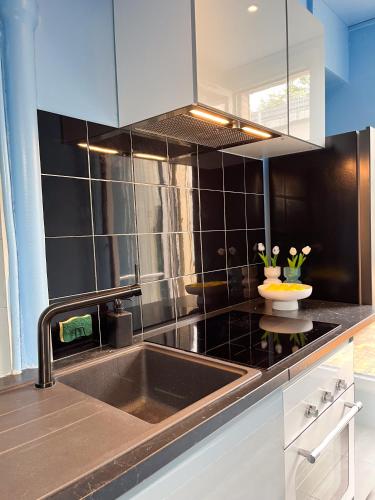 une cuisine avec un évier et un mur carrelé noir dans l'établissement Surperbe appartement rétro Paris, à Ivry-sur-Seine