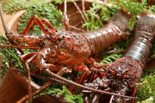 a lobster sitting on top of a plant at GRAND VERDE RESORT in Kamegawa