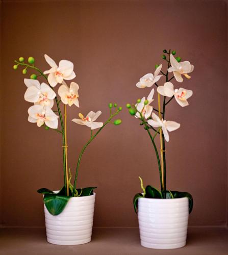 Delle Vittorie Luxury Rooms&Suites photo 86