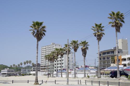 a row of palm trees on a beach with buildings at Tabist Sakipo Minamichita in Morozaki