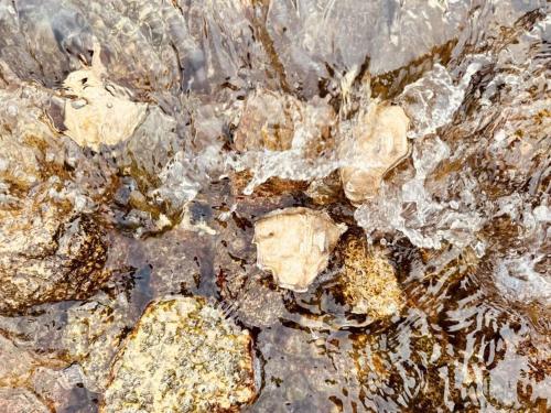 a close up of some rocks and water at The Gums - Bruny Island in Woodbridge