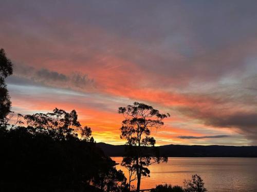 a sunset over a lake with a tree in the foreground at The Gums - Bruny Island in Woodbridge