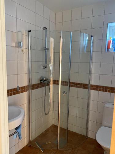 a bathroom with a shower and a sink and a toilet at Nice Home In Sandsjöfors With 1 Bedrooms, Wifi And Jacuzzi in Sandsjöfors