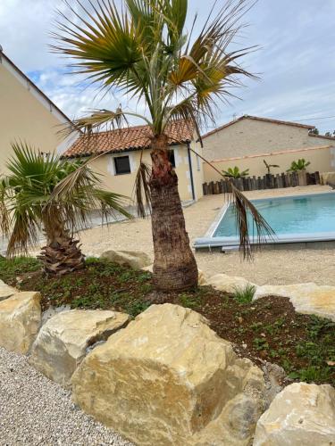 un palmier dans une cour à côté d'une piscine dans l'établissement Maisons 8 personnes, à Paizay-le-Chapt