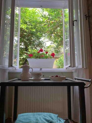 a table in front of a window with a flower pot at VILLA GIULIETTA BUDAPEST with GARDEN, FREE PARKING in Budapest