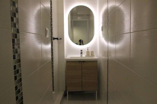 a bathroom with a sink and a mirror at L'escapade, entièrement rénové, proche centre in Grenoble