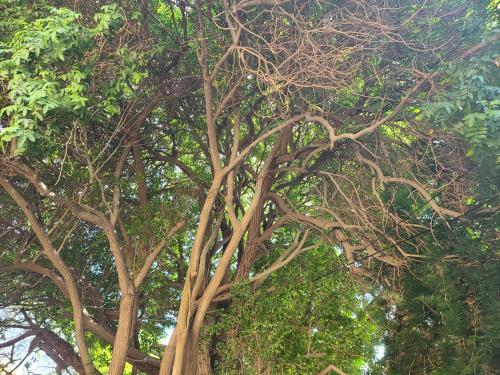 Westside Retreat w Yard, Grill, Hot Tub, Near Sofi Stadium, LAX, and the Beach photo 44