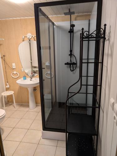 La salle de bains est pourvue d'une douche, d'un lavabo et de toilettes. dans l'établissement Gîte du Coucou, à Hargnies