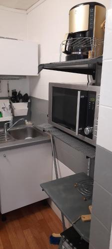 une cuisine avec un évier et un micro-ondes dans l'établissement Appartement Bagnères-de-Luchon T2 nuitée-semaines, à Luchon