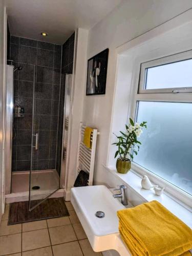 a bathroom with a shower and a sink and a shower at Super sunny studio with own terrace & parking in Poole