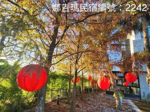 a group of red lanterns hanging from trees at Najima B&B in Jian