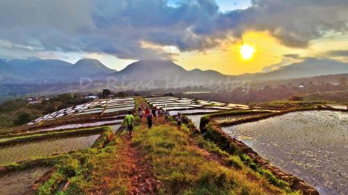 a group of people walking on a field with the sunset at D-Rima Homestay Ruteng in Ruteng