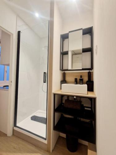 une salle de bain avec un lavabo et une douche dans l'établissement La petite parenthèse au centre ville, à Chalon-sur-Saône