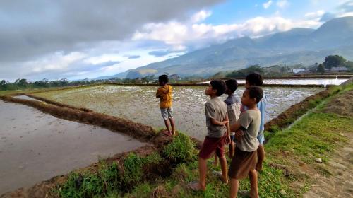 a group of children standing next to a river at D-Rima Homestay Ruteng in Ruteng