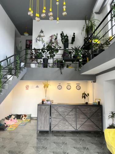 a room with potted plants on the wall at Popock Goris in Goris
