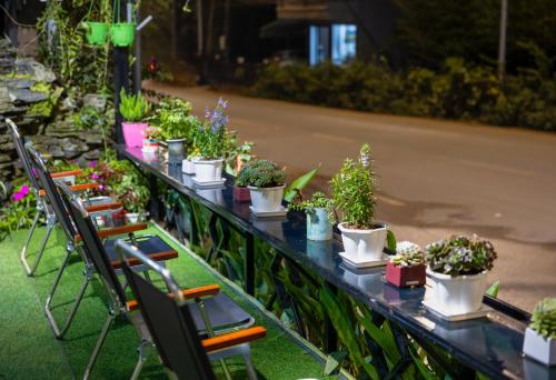 a long table with potted plants on it at Sapa TT Homestay in Sa Pa