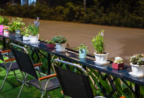 a long table with potted plants on it at Sapa TT Homestay in Sa Pa
