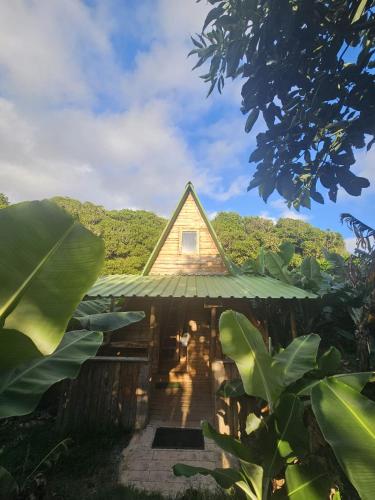 a small house in the middle of a forest at Banana Eco Camp in Angra do Heroísmo