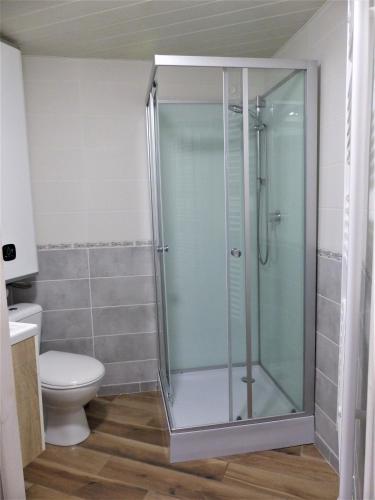 La salle de bains est pourvue d'une douche en verre et de toilettes. dans l'établissement Studio privée chez vos hôtes, à Vendrennes