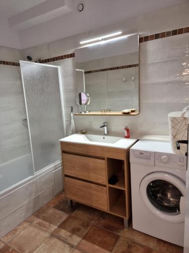 une salle de bain avec un lavabo et une machine à laver dans l'établissement Superbe T3 classé 5 étoiles, quartier des peintres, calme, patio privé, clim, wifi et parking privé, à Collioure