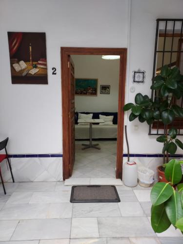 Patio Sevillano Flores