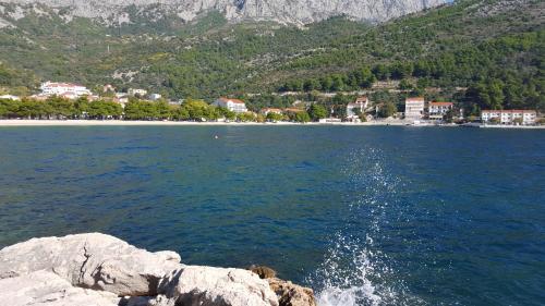 a person is jumping off a cliff into the water at Apartments Villa Katija in Drvenik