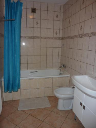 Et badeværelse på Dandelion Noclegi