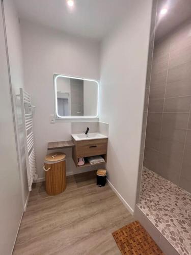 une salle de bain avec un lavabo et un miroir dans l'établissement Séjour au bord de la mer, à Barneville-Carteret