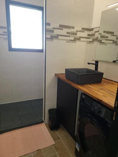 une cuisine avec un évier et une machine à laver dans l'établissement Maison avec piscine Pyla sur mer, à Le Moulleau