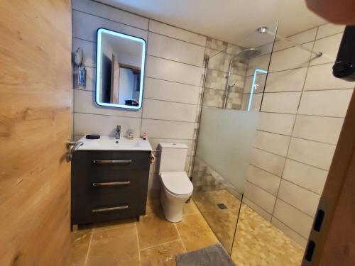 une salle de bain avec toilettes, lavabo et douche dans l'établissement Chez Émile la suite, maison 2 chambres à la campagne, à Humes