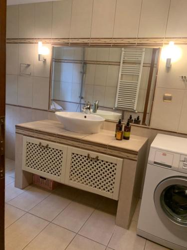 a bathroom with a sink and a washing machine at Oikia Apozari Megalos Filippos in Kastoria