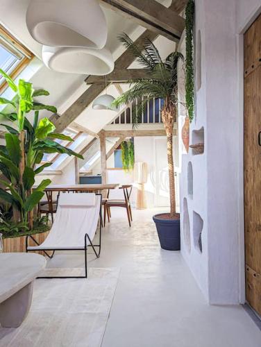 Jungle's Tours Une Oasis en Plein Cœur de la Ville