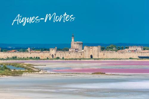 Le Victor Hugo - Avignon intra muros - Calme - Clim - Lumineux photo 26