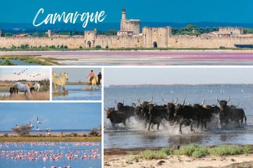 Le Victor Hugo - Avignon intra muros - Calme - Clim - Lumineux photo 27