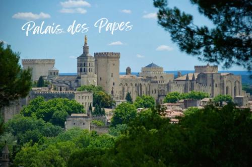 Le Victor Hugo - Avignon intra muros - Calme - Clim - Lumineux photo 30