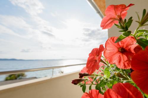 Spacious apartment near the Sea