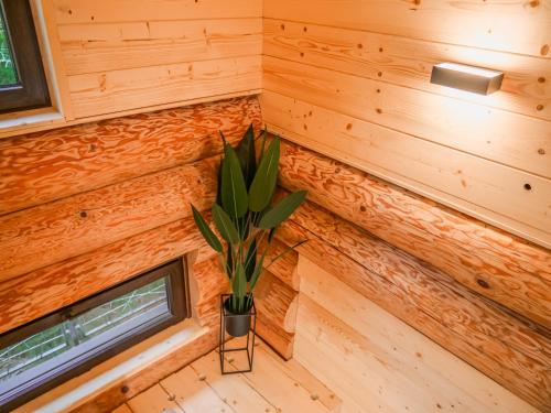 a plant in the corner of a tiny house at Grand Chalet Donovaly in Donovaly