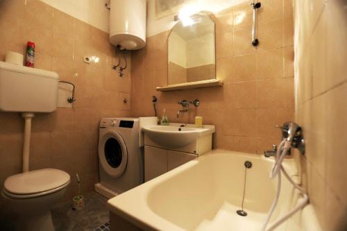 Koupelna v ubytování Apartment Brane