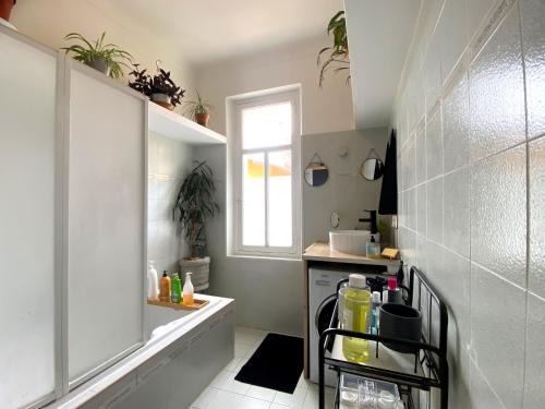 a small kitchen with a sink and a counter at Quartier Chic l Chambres l Gare centrale l Tramway in Nice