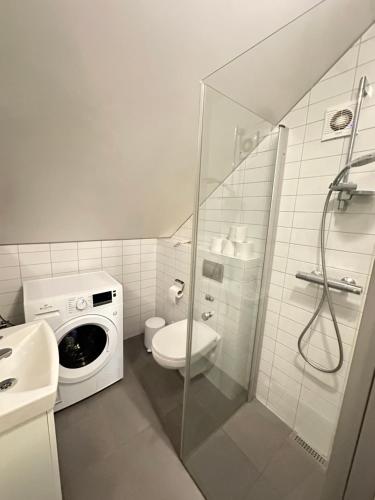 雷克雅未克Apartment in downtown Reykjavik - Birta Rentals的配有洗衣机和卫生间的浴室