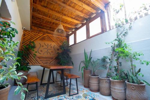 a room filled with lots of potted plants and a table at Anza surfhouse in Agadir
