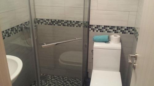 a bathroom with a toilet and a glass shower door at Apartments Fortunella in Budva