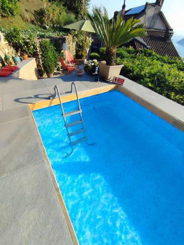 a blue swimming pool with a ladder in it at Private Romantic Wellness Lake View Retreat- Whirlpool Hammam Spa e Piscina panoramica in Maccagno con Pino e Veddasca