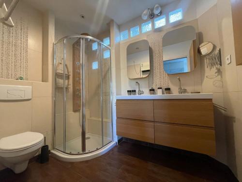 a bathroom with a shower and a toilet at Maison lumineuse et élégante in Chartres