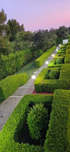A garden outside Agriturismo La Rondine