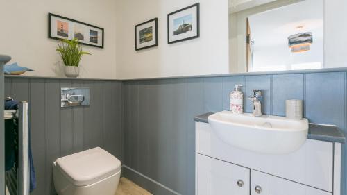 a bathroom with a sink and a toilet at Cleifiog Fawr in Valley